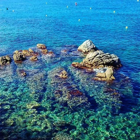 Fenals Moderna Lloret de Mar